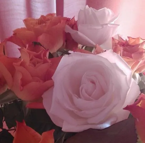 Laurence Ξενοδοχείο Ρώμη