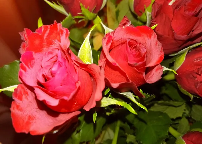 Laurence 3* Ρώμη