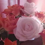 Laurence Hotel Rome